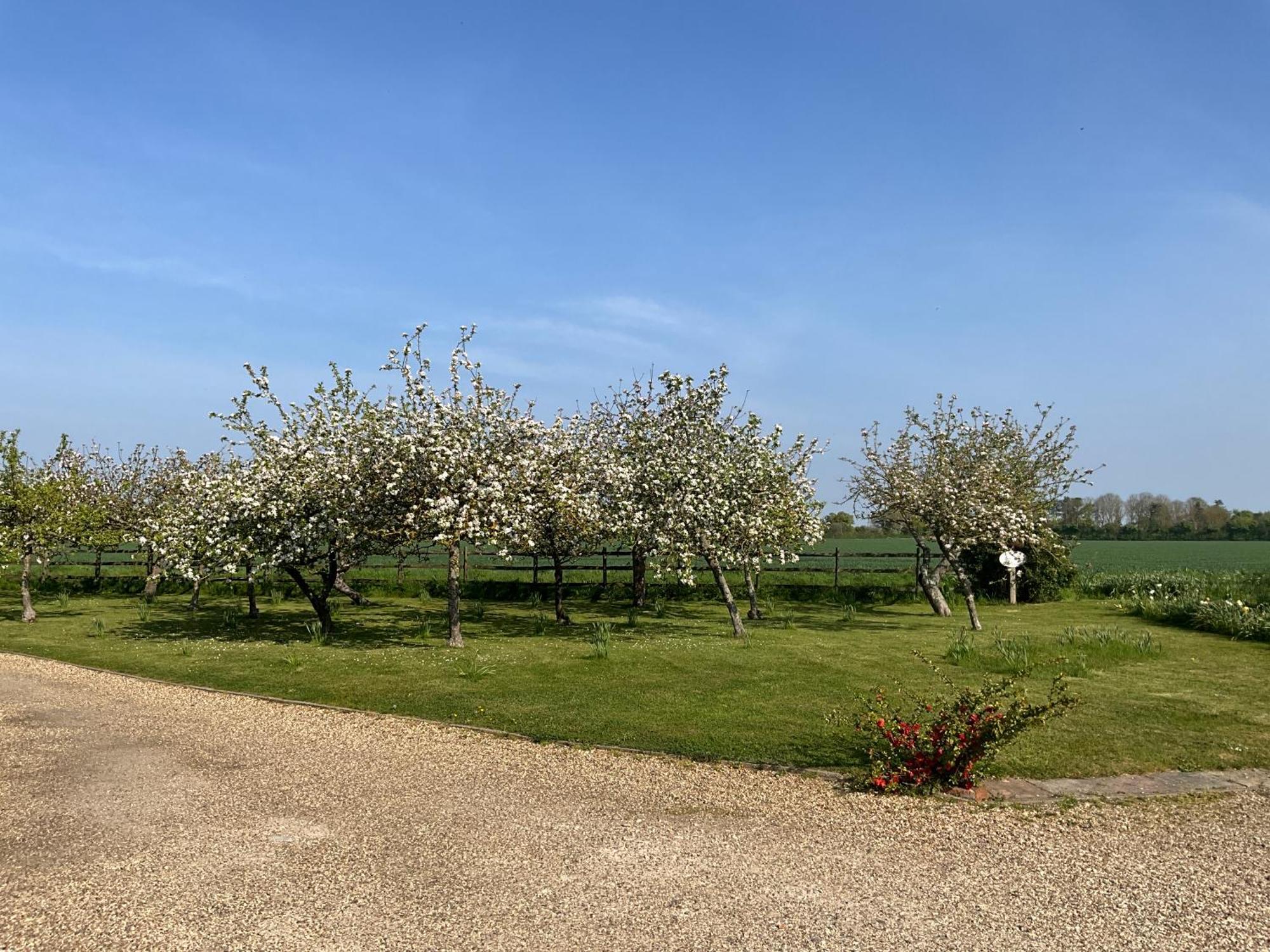 Pheasant Suites Colchester Zewnętrze zdjęcie